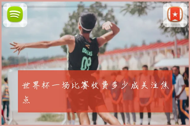 世界杯一场比赛收费多少成关注焦点